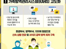 정부 경북지역 아프리카돼지열병 남하 확산 차단 총력 기사 이미지