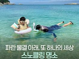 해양수산부, 파란 물결 아래, 또 하나의 세상 스노클링 명소 기사 이미지
