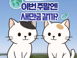 국토교통부, 새만금-전주 고속도로 정식 개통 기사 이미지