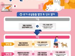 농식품부, 유실·유기 동물 발견 시 동물보호상담센터로 신고하세요 기사 이미지