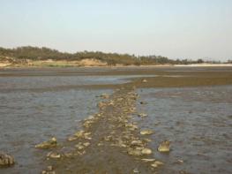 국가유산청, '물때' 국가무형유산 신규 종목 지정 기사 이미지
