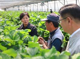 농림축산식품부, 면세유 이용 현장 및 시설채소 생육동향 점검 기사 이미지