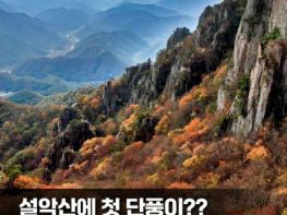 기상청, 설악산에 첫 단풍이?? 작년보다 4일 빨랐다! 기사 이미지