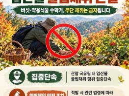 산림청, 가을철 국유림 내 임산물 불법채취 근절 기사 이미지